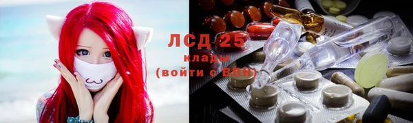 гидра Аркадак