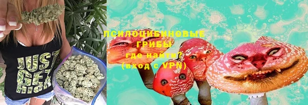 гидра Аркадак