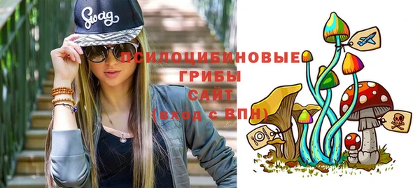метадон Армянск