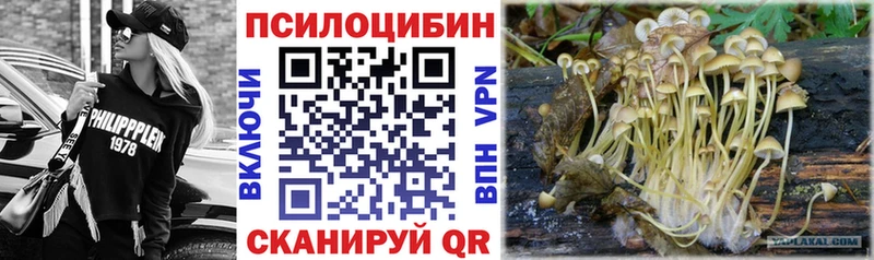 Галлюциногенные грибы ЛСД  где купить наркотик  Междуреченск 